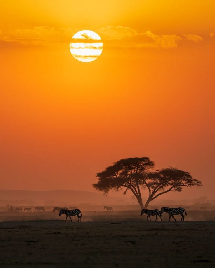 African sunset